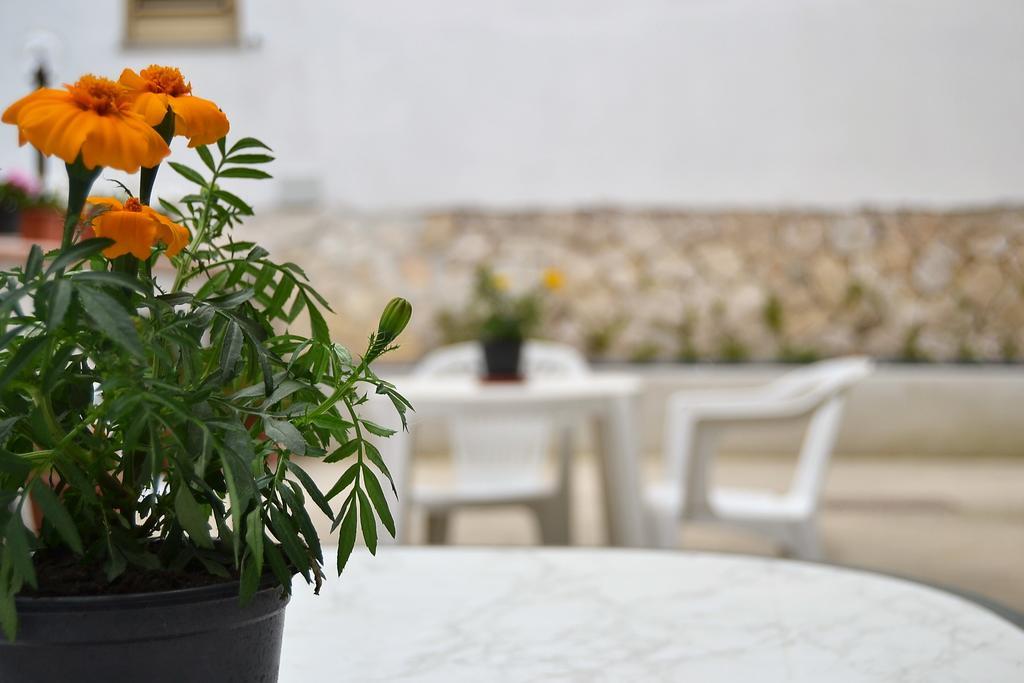 Il Girasole Formia Guesthouse Rooms Εξωτερικό φωτογραφία