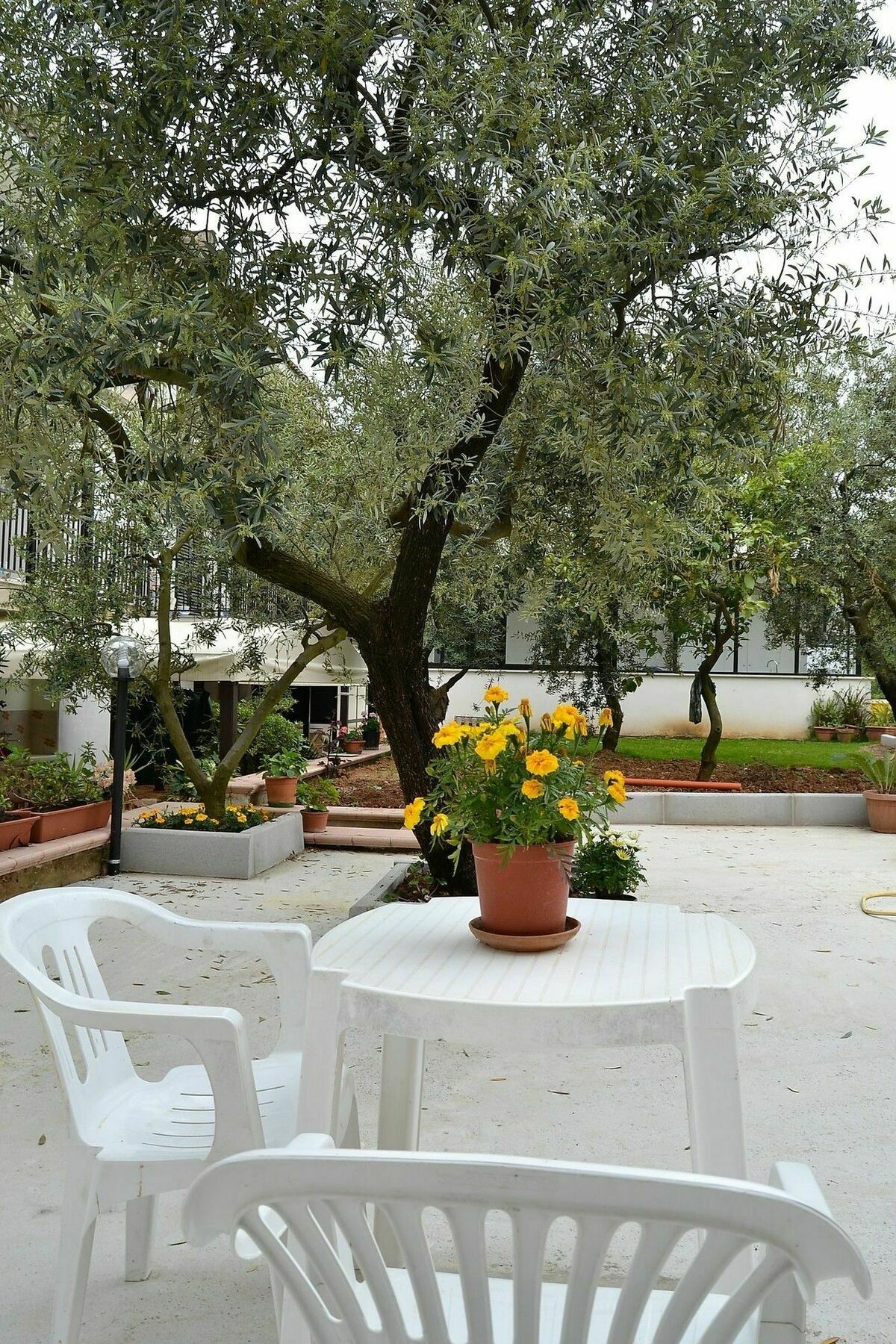 Il Girasole Formia Guesthouse Rooms Εξωτερικό φωτογραφία